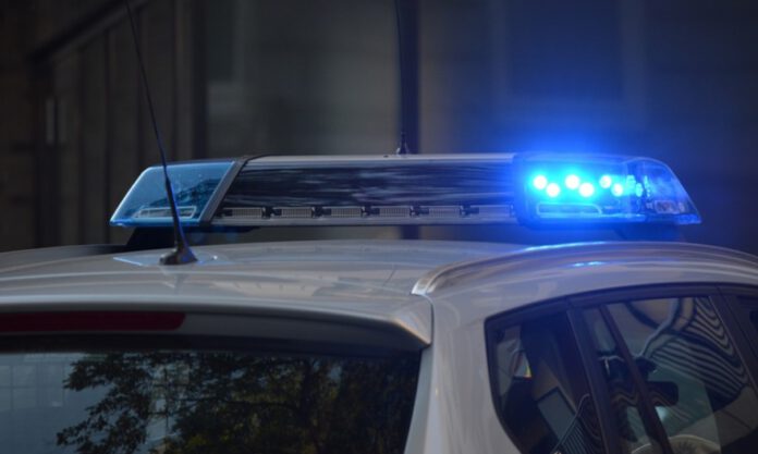 policja bada makabryczne morderstwo