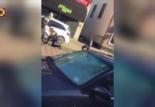 HOLANDIA: Polak bije policjantów. Byli bezradni (FILM)