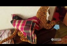 26-letnia Ukrainka gwałciła 4-letniego syna. Nagrania sprzedawała w sieci (WIDEO)