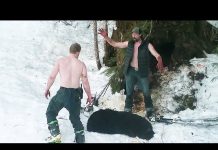 Zastrzelili śpiącą niedźwiedzicę z młodymi. Potem robili sobie zdjęcia (WIDEO)