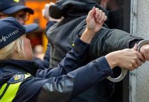 HOLANDIA; Polak zdemolował sklep i uniknął kary. Nie zgadniesz dlaczego