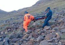 ARMENIA: Niedźwiedź zaatakował dwójkę Polaków. Mężczyzna nie przeżył